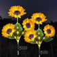 🌻 IDŐKORLÁTOS 50%-KEDVEZMÉNY! ✨ Napraforgó alakú napelemes lámpák – automatikus be-/kikapcsolás, 14 órás világítás, IP65 vízálló ☀️