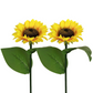 🌻 IDŐKORLÁTOS 50%-KEDVEZMÉNY! ✨ Napraforgó alakú napelemes lámpák – automatikus be-/kikapcsolás, 14 órás világítás, IP65 vízálló ☀️